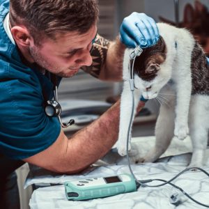 Plano Prata Semestral