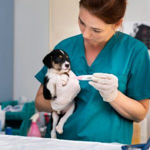 Plano Ouro Semestral