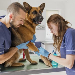 Plano Bronze Trimestral