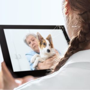 Plano Ouro Trimestral