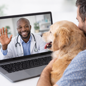 Plano Avulso (01 Pet) para 02 dias