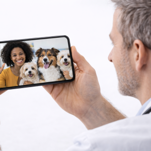 Plano Avulso (02 Pets) para 02 dias