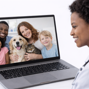 Plano Adicional Prata Semestral