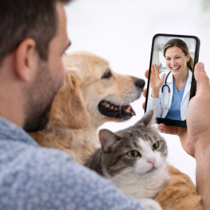 Plano Adicional Ouro Anual