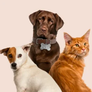 Plano Avulso 2 Pets (30 dias)