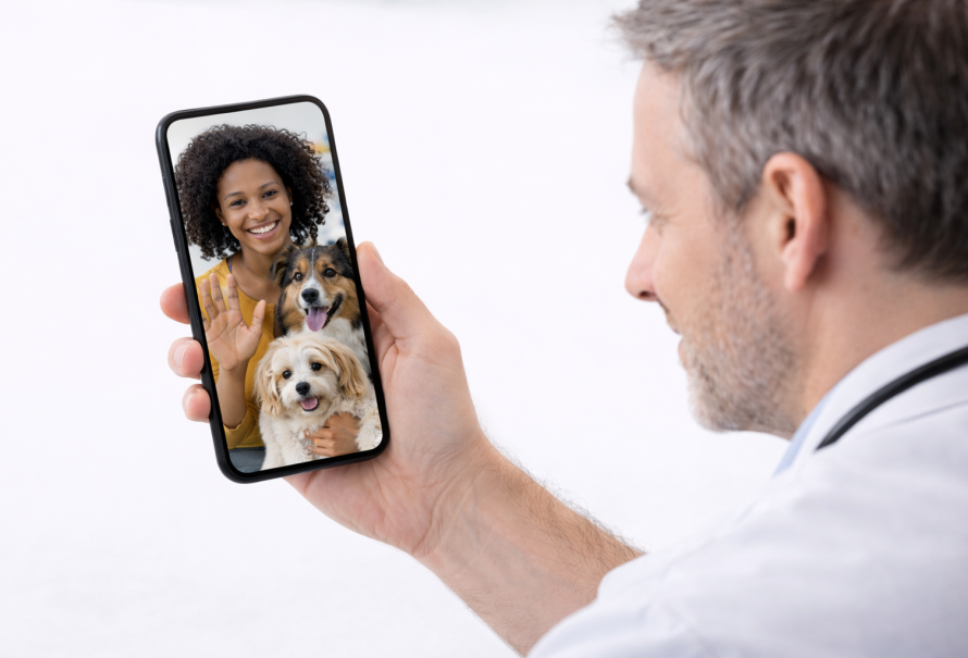 Consulta veterinária por videochamada