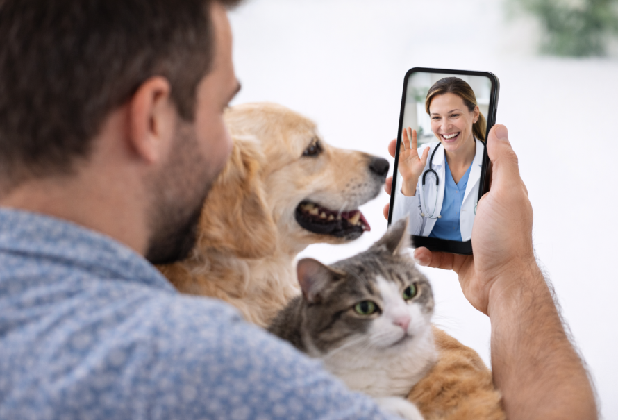 Consulta veterinária virtual com pets